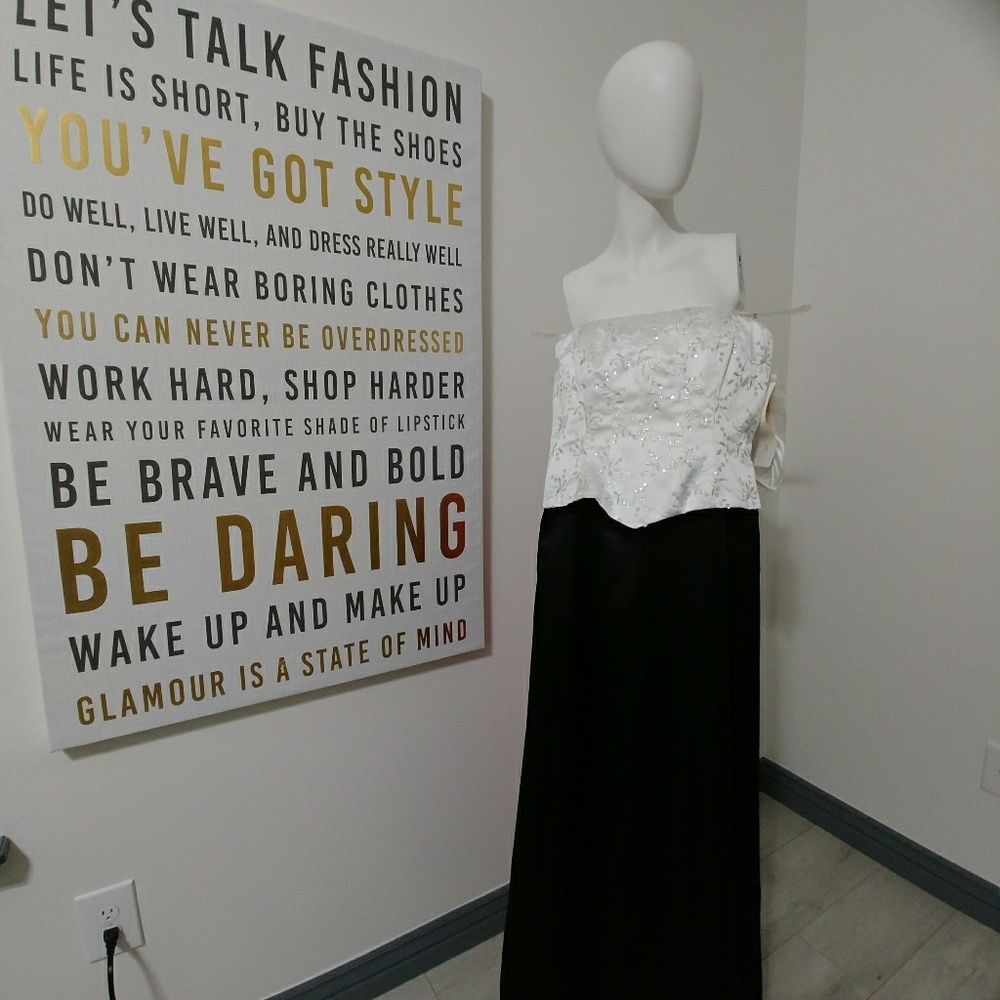 NWT Beautiful Special Occasion dress